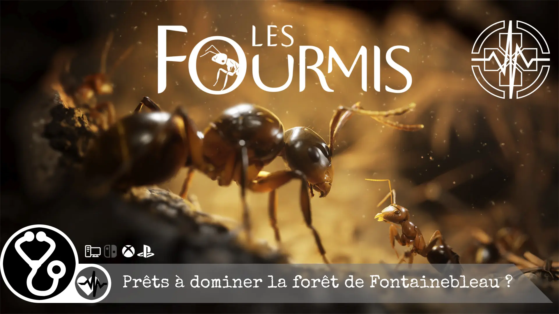 Les Fourmis – Prêts à dominer la forêt de Fontainebleau ?